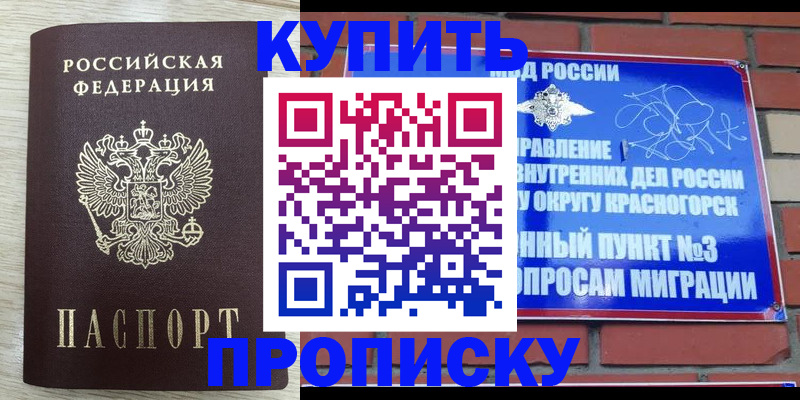 прописка гарантия в Жердевке